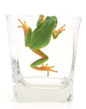 The Onset of Anxiety: The Boiling Frog Theory